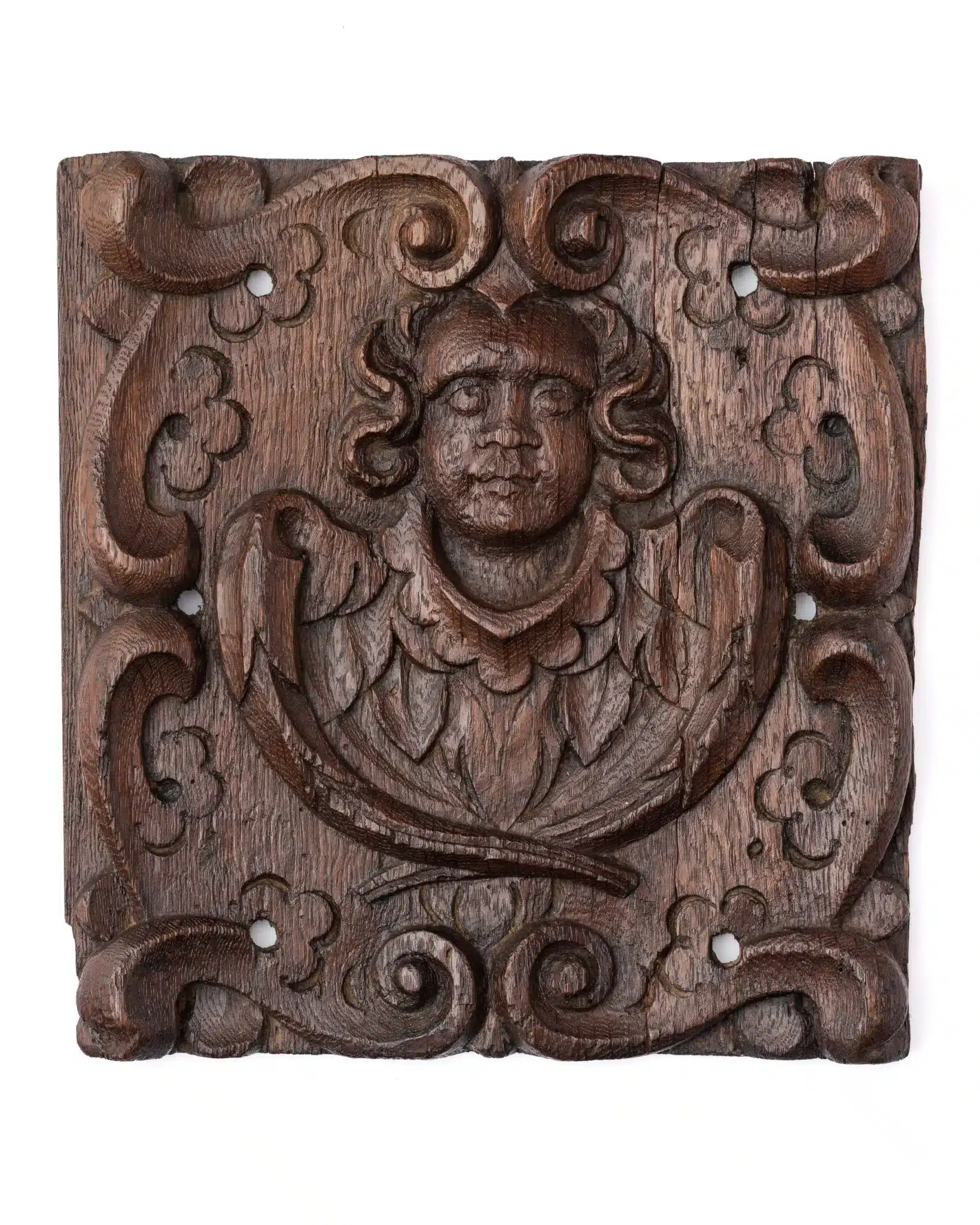 Renaissance Oak Carved Panel: Angel Bust