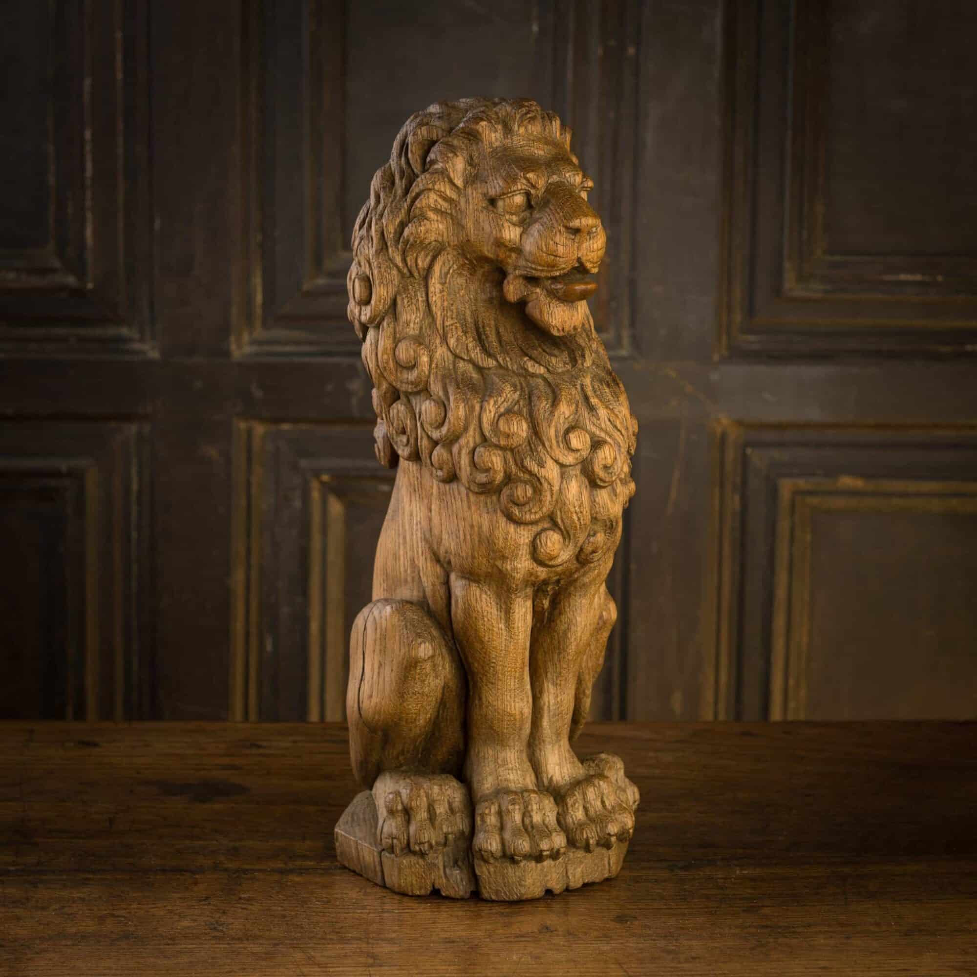 English oak lion