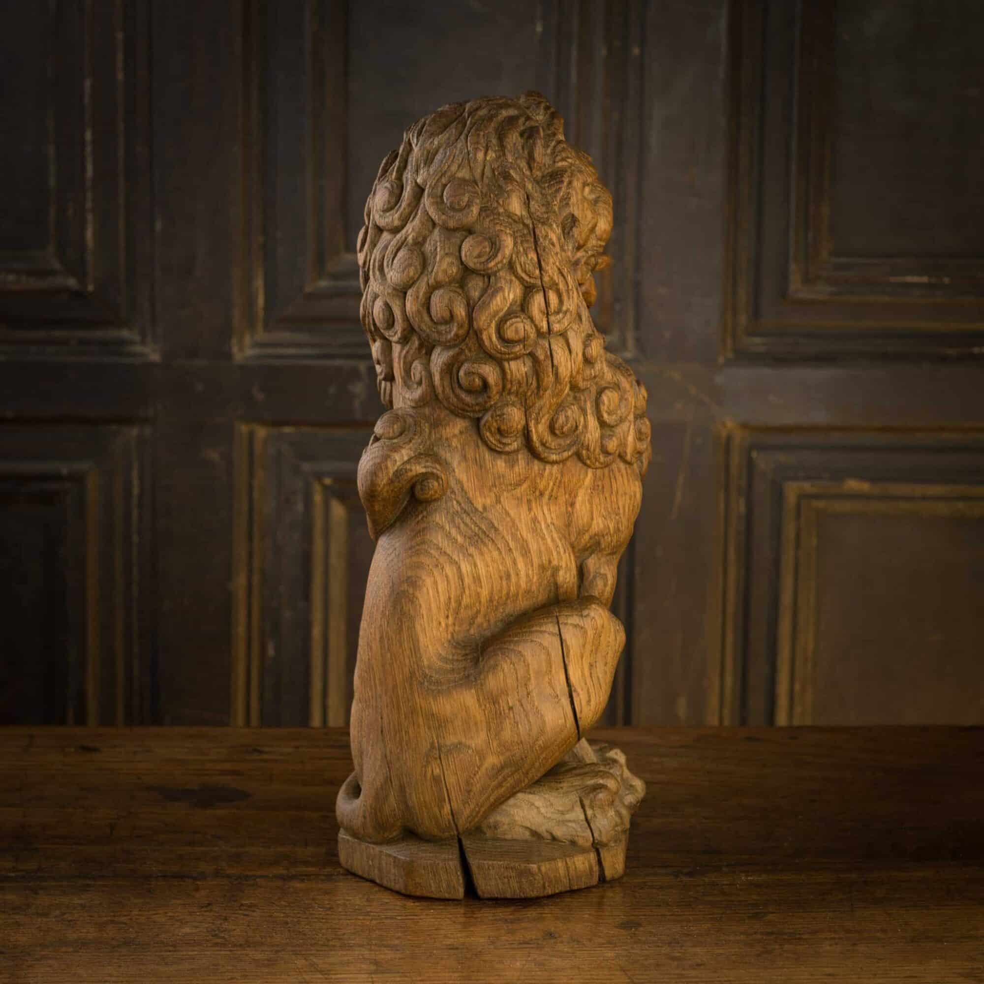 English oak lion